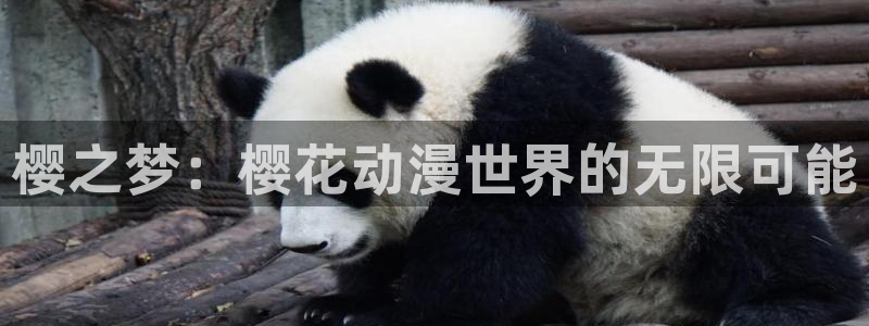 拷贝漫画 copymanager.ory网站：樱之梦：樱花动漫世界的无限可能