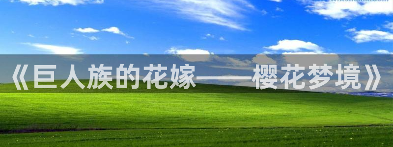 樱花动漫网