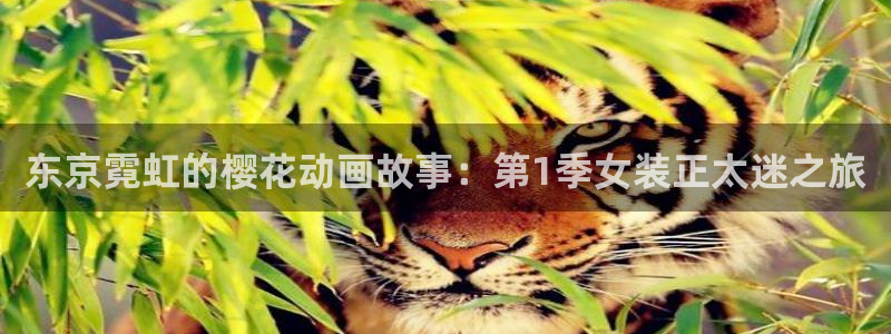 樱花动漫下载