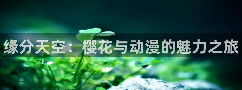 樱花动漫下载