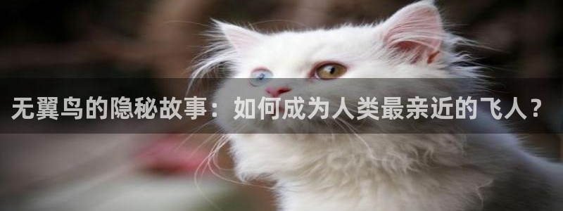 colamanage漫画官网