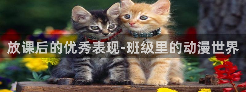 拷贝漫画 copymanager.ory网站