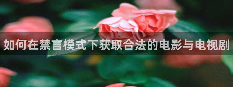 在线动画动漫下载樱花动漫