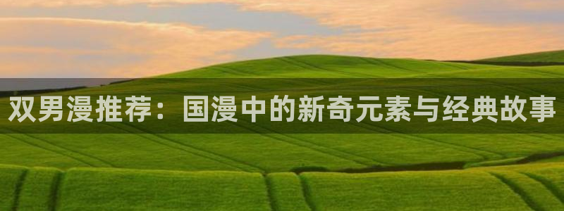 樱花动漫网：双男漫推荐：国漫中的新奇元素与经典故事